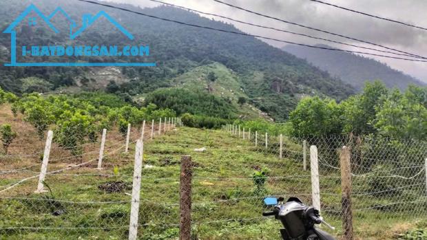 Bán đất vườn Khánh Trung mặt đường bê tông liên thông rộng 7m - gần Farm Hoa Quả Sơn - 2