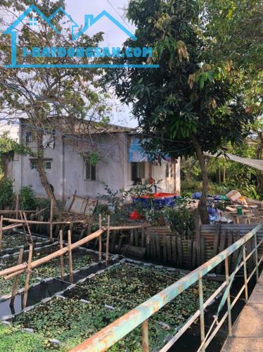 Bán đất sổ riêng 1.4 tỷ /620 m2 tặng nhà cấp bốn
