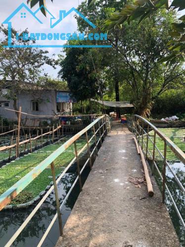 Bán đất sổ riêng 1.4 tỷ /620 m2 tặng nhà cấp bốn - 1