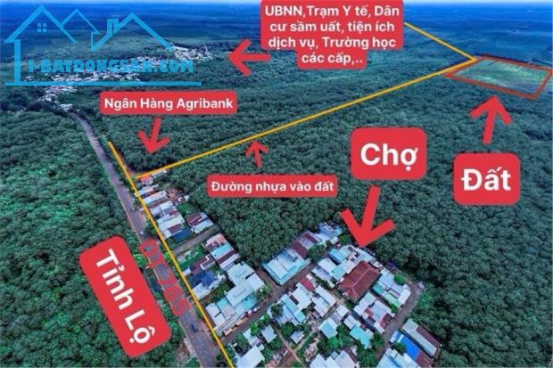 BÁN (20X35=700M2) THỔ CƯ, SHR CẶP BÊN CHỢ, TRƯỜNG CÁC CẤP DÂN ĐÔNG TIỆN ÍCH ĐẦY ĐỦ