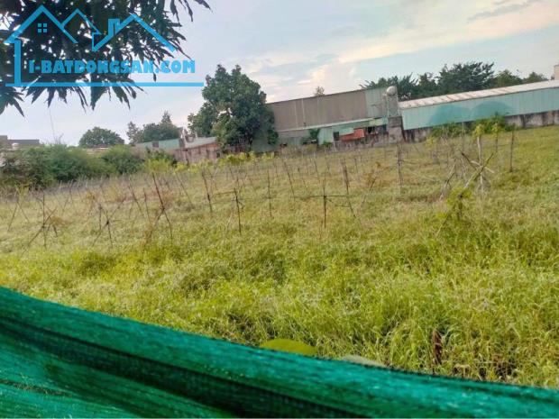 BÁN ĐẤT VƯỜN 2227M2- GIÁ CHỈ 5 TRIỆU/M2 - XUÂN THỚI THƯỢNG - HOC MÔN - 3