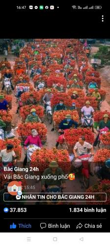 Bán rẻ đất phân lô, ô tô 146m, mặt tiền 5m, Đoan Bái, Hiệp Hòa, Bắc Giang.