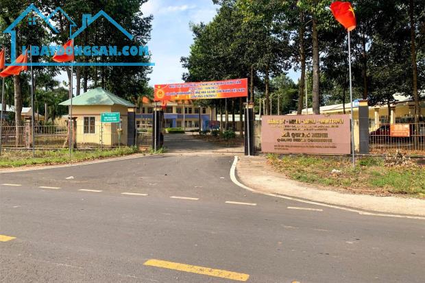 BÁN 2250M2 2SHR LỘ NHỰA THÔNG (3 KCN 240N CN) SÁT TRƯỜNG CHỢ KHO XƯỞNG QUANG MINH CHƠN - 3