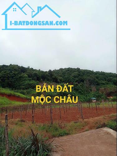 Sở Hữu ĐẤT MỘC CHÂU VIEW ĐẸP, PHÙ HỢP ĐẦU TƯ HOMESTAY, NGHỈ DƯỠNG - VỊ TRÍ VÀNG, GIÁ SIÊU - 3