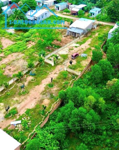 Bán đất vườn Khánh Đông giá rẻ sẵn thổ cư - đã lên mô hình farm cơ bản - 1