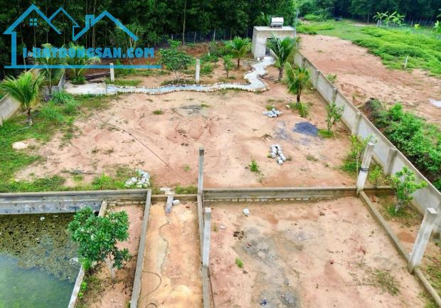 Bán đất vườn Khánh Đông giá rẻ sẵn thổ cư - đã lên mô hình farm cơ bản - 2