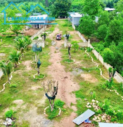 Bán đất vườn Khánh Đông giá rẻ sẵn thổ cư - đã lên mô hình farm cơ bản - 3