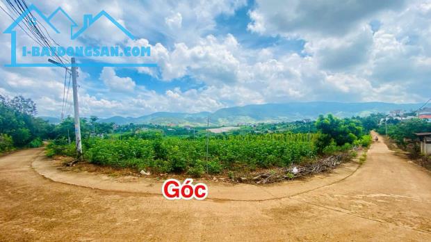 Đất xã Đông Thanh huyện Lâm Hà Lâm Đồng giá rẻ, nơi kiến tạo căn Second Home nghỉ dưỡng - 4