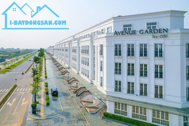 Bán shophouse Avenue Garden căn đẹp diện tích nhỏ nhất dự án 143,5m2 đã có sổ - 2