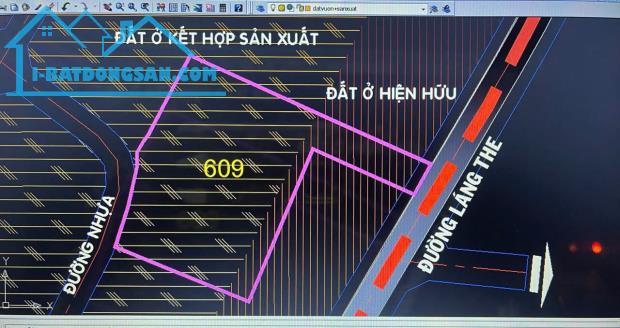 4200m2 đất 2 mặt tiền đường nhựa xã Tân Thạnh Tây, Củ Chi giá 19 tỷ