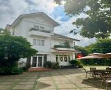 GẤP-- CHÍNH CHỦ CẦN CHO THUÊ VÀ CHUYỂN NHƯỢNG BẤT ĐỘNG SẢN TẠI TRUNG TÂM LÀO CAI.