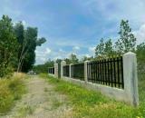 Cần bán đất Thanh Sơn, Định Quán - 530 triệu