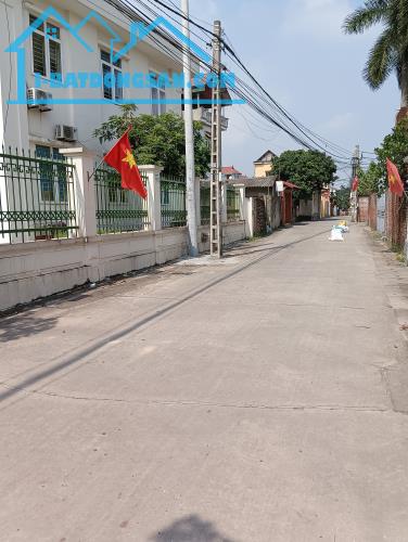 Bán Đất - Thôn Ninh Cầm - Tân Dân - 56M2 Full Thổ Cư - 1,85 Tỷ - Đường Thông Ô Tô Tránh - 2