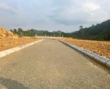 Các Sếp mua đất xây Villas nghỉ dưỡng ,thì ko thể bỏ qua e này 👇,không khí trong lành Vị