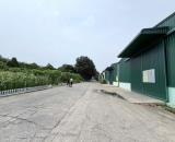 Cho Thuê 5.700m2 Nhà Xưởng Bàu Bàng Bình Dương Giấy Tờ Đầy Đủ