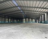Cho Thuê 3.000m2 – 6.000m2 Nhà Xưởng Mới Bến Cát Bình Dương PCCC Tự Động