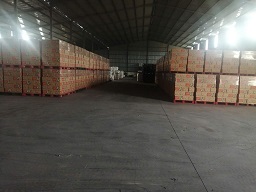 CHO THUÊ KHO CHỨA HÀNG FULL DỊCH VỤ TẠI DĨ AN & THUẬN AN, BÌNH DƯƠNG - 1