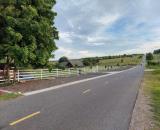 Nhiều đất Mẫu giá Ngộp-Xã Hoà Thắng(Hồng Phong-Bắc Bình)-Lâm Đồng