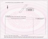 HÀNG SIÊU NGỘP 790M2 CHỈ VỚI 2TY599 TẠI PHƯỚC HẢI BÀ RỊA VŨNG TÀU.