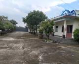 Cho thuê đất , kho bãi 1,5ha tại Phường Long Hưng giá chỉ 70 triệu