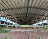 Bán kho, nhà xưởng tại DH507, An Thái, Phú Giáo, 65 tỷ,TDT:31.000m2,nhà xưởng: 15.000m2,SK