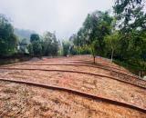 Kỳ Sơn, Hoà Bình Ngay trung tâm Chợ Bãi Nai, đất đẹp giá đầu tư