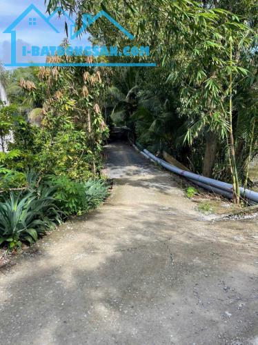 Bán đất vườn 2 mặt tiền kênh dt 5000m2 ở xã An Thạnh, Bến Lức giá 3,75 tỷ