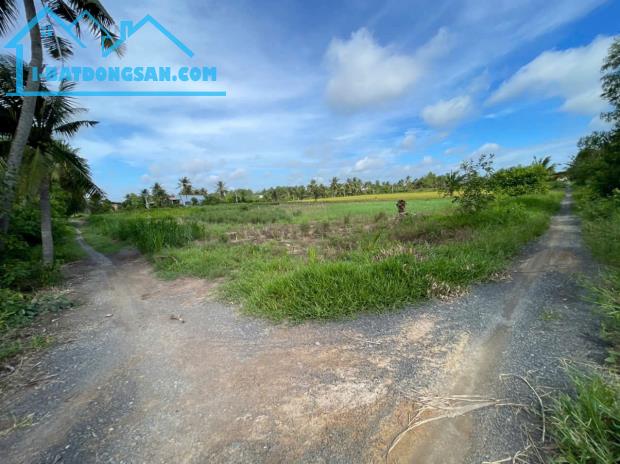 Bán đất vườn 2 mặt tiền kênh dt 5000m2 ở xã An Thạnh, Bến Lức giá 3,75 tỷ - 3