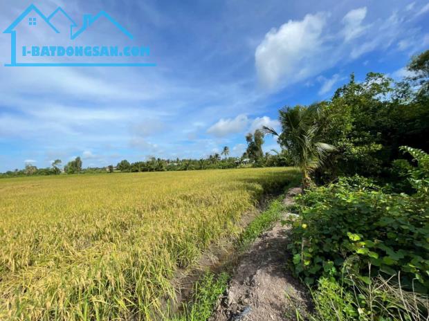 Bán đất vườn 2 mặt tiền kênh dt 5000m2 ở xã An Thạnh, Bến Lức giá 3,75 tỷ - 4