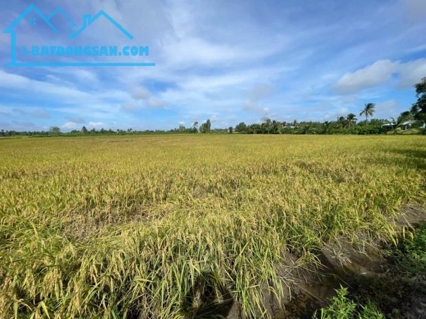 Bán đất vườn 2 mặt tiền kênh dt 5000m2 ở xã An Thạnh, Bến Lức giá 3,75 tỷ - 5