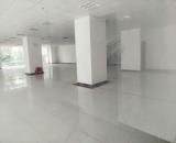 Cho thuê MB làm Trường Mầm Non, Nhà Trẻ tầng 1 tòa T&T Định Công DT: 800m2.