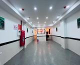 🔥 CCMN Đường Láng, Dòng Tiền Tốt 780Tr/Năm, Cơ Hội Đầu Tư, 13PNKK, PCCC Đạt Chuẩn