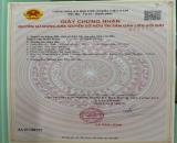 CẦN BÁN GẤP LÔ ĐẤT SIÊU F0 113M2 CHỈ VỚI 700 TRIỆU CHỈ CÁCH BIỂN 1,5KM TẠI PHƯỚC HẢI BRVT.