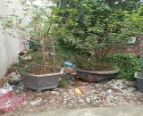 Bán mảnh đất phố đại cát 40m2 giá 4,5tỷ.