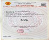 CHỈ VỚI 800 TRIỆU – SỞ HỮU NGAY LÔ GÓC HAI MẶT TIỀN NGANG 7M TẠI PHƯỚC HẢI, BR-VT