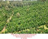 ĐẤT ĐẸP – GIÁ TỐT  – CHÍNH CHỦ CẦN BÁN Lô Đất Tại Đắk Sắk , Đắk Mil, Đắk Nông