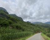 BÁN ĐẤT MẶT ĐƯỜNG HÀ GIANG - GẦN CÁC ĐIỂM CHECKIN; KINH DOANH TỐT GIÁ HỜI