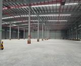 BR. Khu Công Nghiệp Đất Đỏ Gần Cảng Cái Mép Cho Thuê Nhà Xưởng Sản Xuất Khuôn Viên Độc Lập