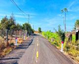 🌳 BÁN GẤP VƯỜN CÂY ĂN TRÁI 1000M² - CHỈ 900 TRIỆU!