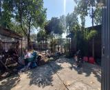 Cần bán đất ruộng 850m2, mt40m, có nhà C4, công trình phụ, 1.8 tỷ, Bắc Hồng, Đông Anh.