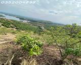 CẦN BÁN 1,6HA ĐẤT TRỒNG CÂY LÂU NĂM – VIEW ĐẸP, GIÁ TỐT!