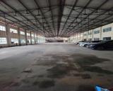 Cho thuê kho 368 triệu,46x 100m mặt tiền nhánh Trần Đại Nghĩa, Tân Kiên,Bình Chánh