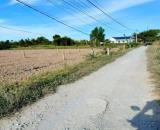 CHÍNH CHỦ ĐỨNG BÁN 1.045m2 ĐẤT LÚA + 203m2 THỔ CƯ – KP9, TT BẾN LỨC, SHR GIÁ 4 TỶ