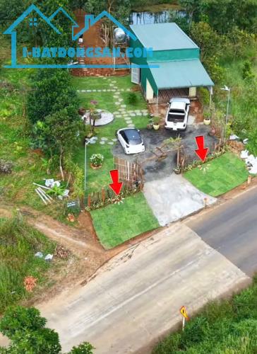 Cơ Hội Đầu Tư Sinh Lời - Chính Chủ Bán Căn Nhà Vườn Mặt Tiền Đường Tránh Gia Nghĩa - 2