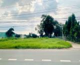 SANG RẺ (10X51=514M2) THỔ CƯ SHR MT NHỰA NGAY CHỢ, TRƯỜNG HỌC DÂN ĐÔNG GIÁ 140 TRIỆU