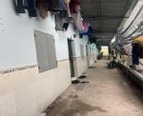 Chính chủ Bán 3 dãy phòng trọ có 55 phòng, thu nhập 70tr/th, diện tích 1398m2 đất. Giá