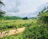 1513m2-760m2 thổ cư phù hợp nghỉ dưỡng tại cao phong giá chỉ nhỉnh tỷ