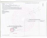 CẦN BÁN GẤP LÔ ĐÁT CHỦ NGỘP 230M2 CHỈ VỚI 1 TỶ 550 TRIỆU GẦN BIỂN PHƯỚC HẢI BRVT