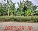 Đất đẹp gần Ủy Ban Xã Châu Pha, Phú Mỹ 5*30, 80 Thổ Cư chỉ 950 Triệu