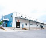 HM. Cho thuê kho xưởng , Củ Chi Diện tích kho xưởng : 2.500m2 (1 trệt + 1 lầu)